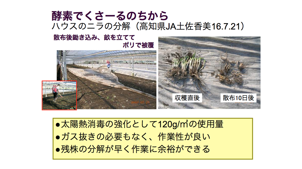 酵素でくさ~るのちから ハウスのニラの分解