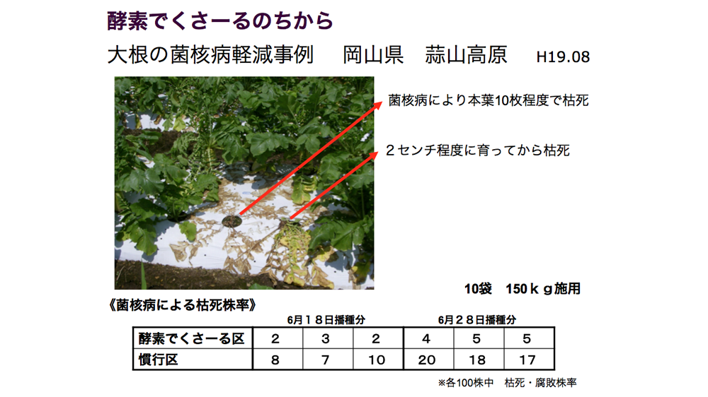 酵素でくさ~るのちから 大根の菌核病軽減事例