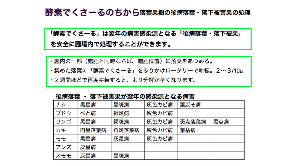 酵素でくさ~るのちから 落葉果樹の罹病落葉・落下被害果の処理